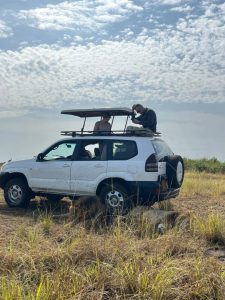 Pop-up roof Land cruiser in park safari