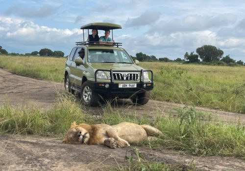 4×4-safari-cars-uganda