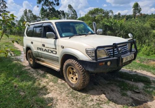 land-cruiser-prado-tx