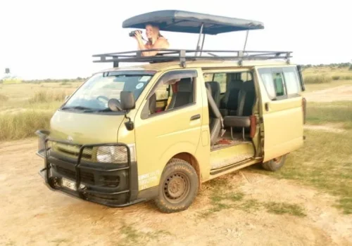 safari-van3
