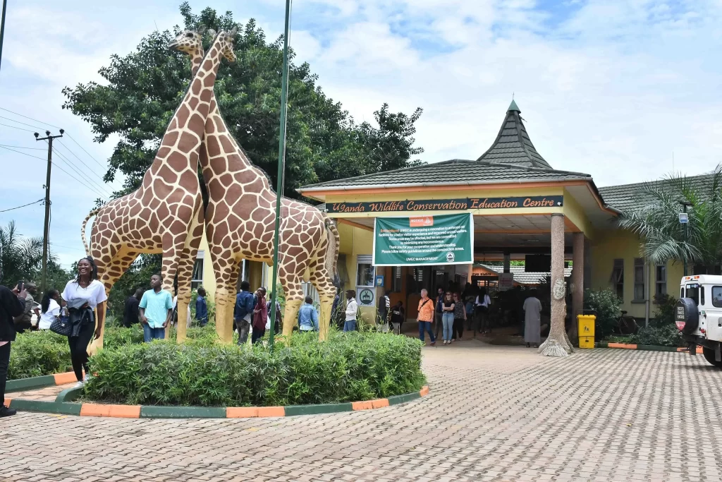 entebbe-zoo - Rent 4x4 Car Uganda Entebbe self drive to Zoo