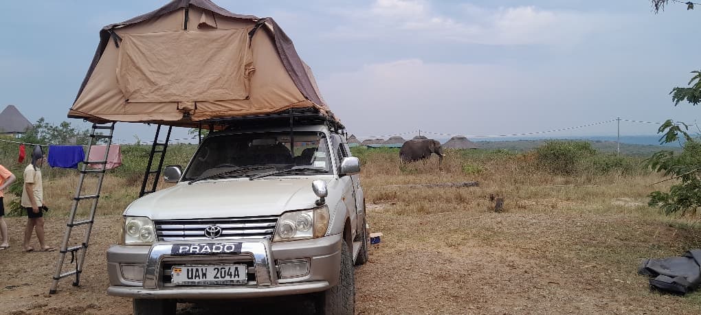 rooftop-tent-land-cruiser-safari - Rent 4x4 Car Uganda Rooftop tent Land cruiser