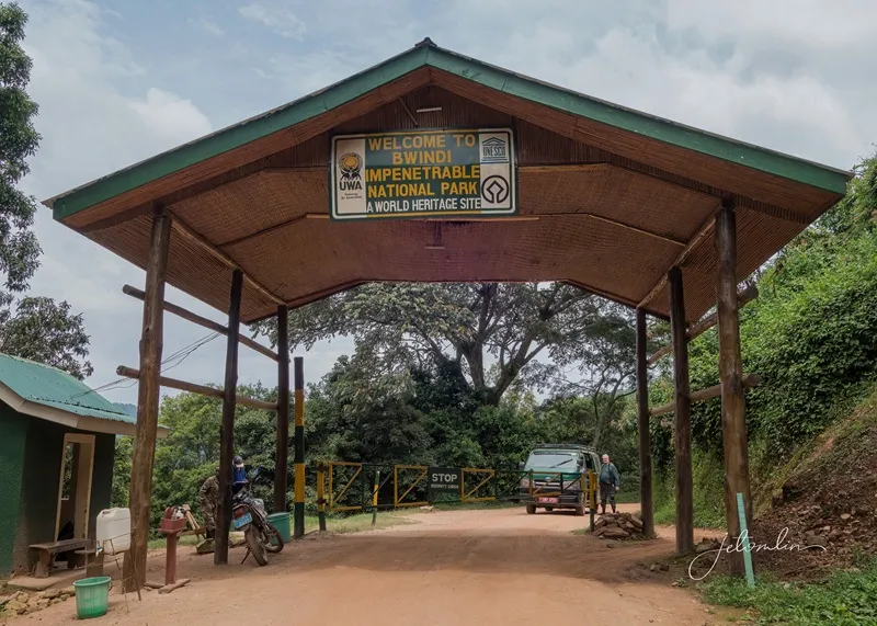Driving to Bwindi national park