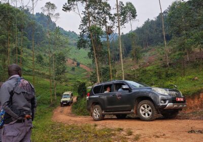 Gorilla Trekking Car Rental Uganda Trip