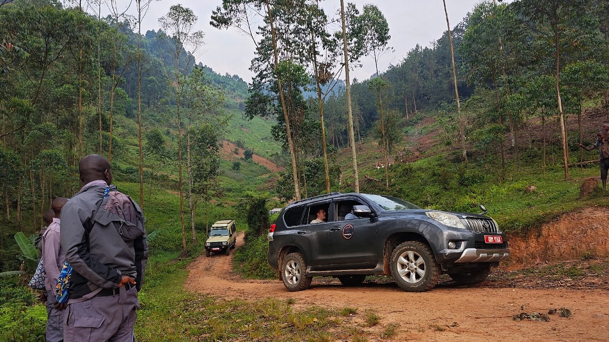 self-drive-to-bwindi-forest - Rent 4x4 Car Uganda Gorilla trekking car rental Uganda trip