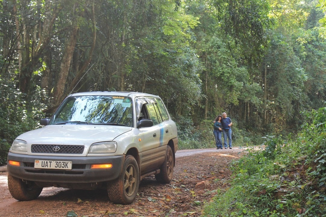 rav4-rentals-ug-2026 - Rent 4x4 Car Uganda White SUV parked on a dirt road in a lush forest, with a couple walking in the background beyond the vehicle.