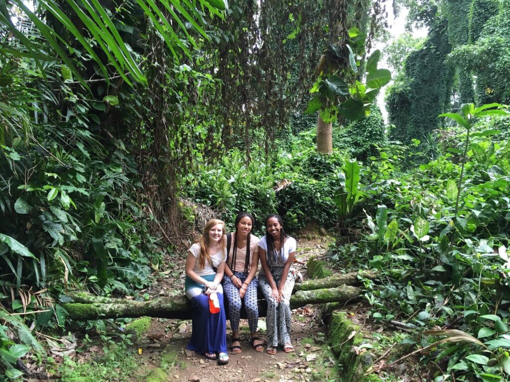 entebbe-botanical-gardens-tour - Rent 4x4 Car Uganda entebbe self drive ot botanical gardens